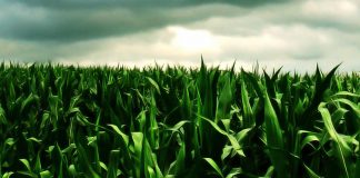 Valor del Agro y Movilidad