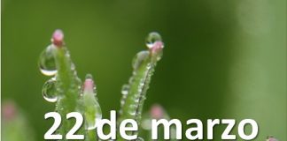 #Hoy es el #DiaMundialdelAgua