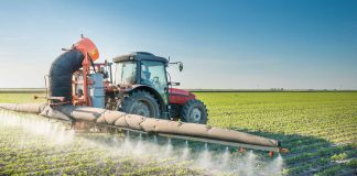 Curso de actualización en Fitosanitarios para Regentes y Asesores CIASFE1