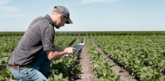 Ingeniero Agrónomo Matrículado