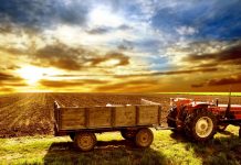 Valores Vigentes 2026