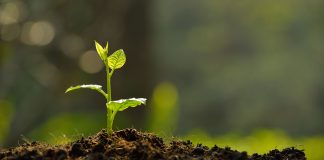 5/12 – Día Mundial del Suelo