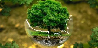 Comunicado FADIA sobre la Ley de Educación Ambiental