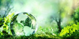 Día Mundial del Medioambiente