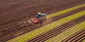 09/09 – Día Mundial de la Agricultura