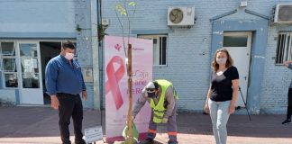 Octubre Rosa: Mes de la concientización y prevención del cáncer de mama.