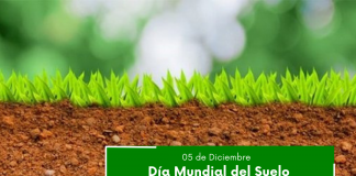 Hoy. Día Mundial del Suelo