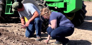 Info – Regentes Técnicos y Asesores Particulares