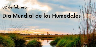Hoy Día Mundial de los Humedales