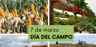 07 de marzo – Día del Campo