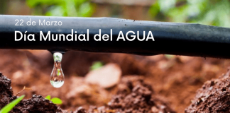 22 de marzo: Día Mundial del Agua