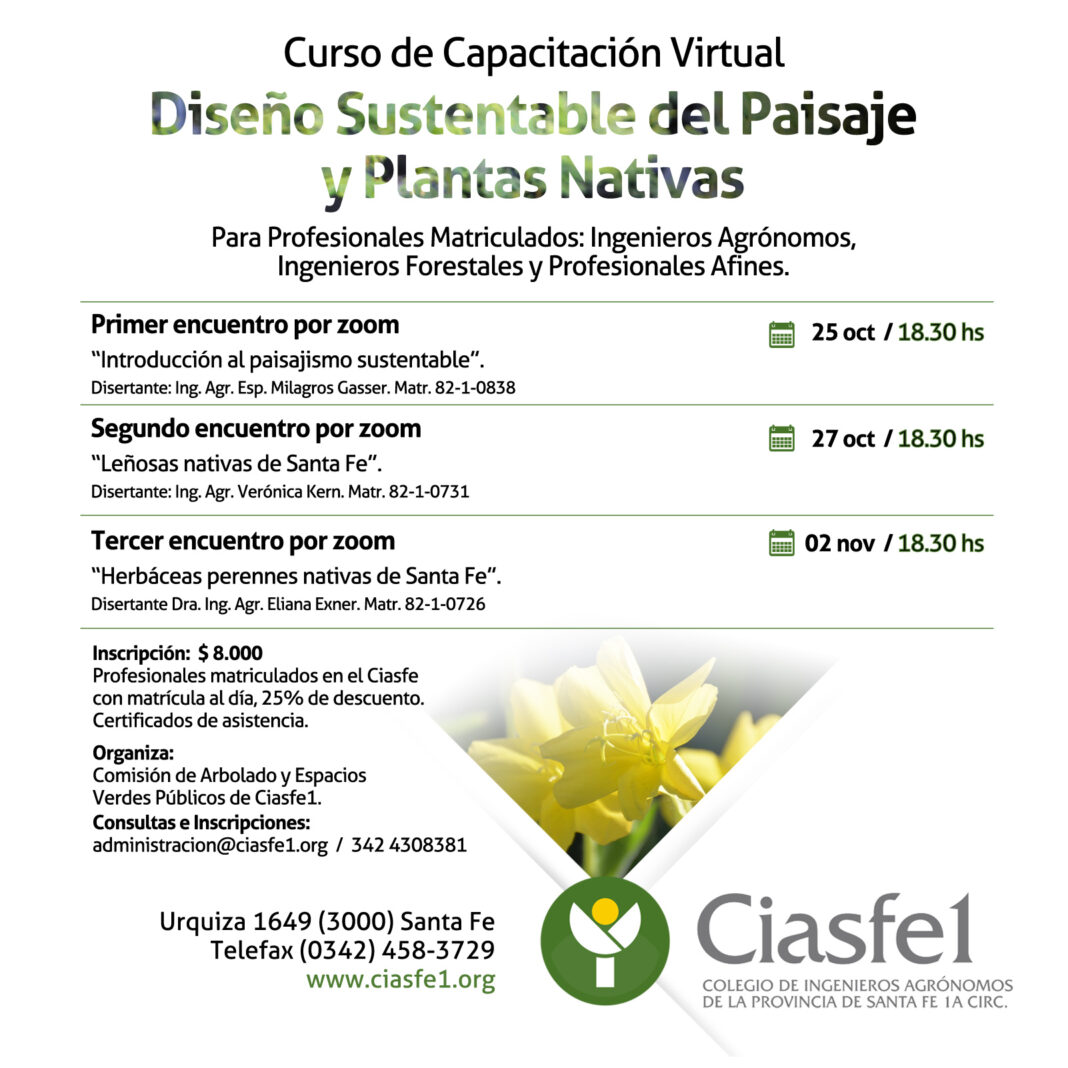 flyer 47