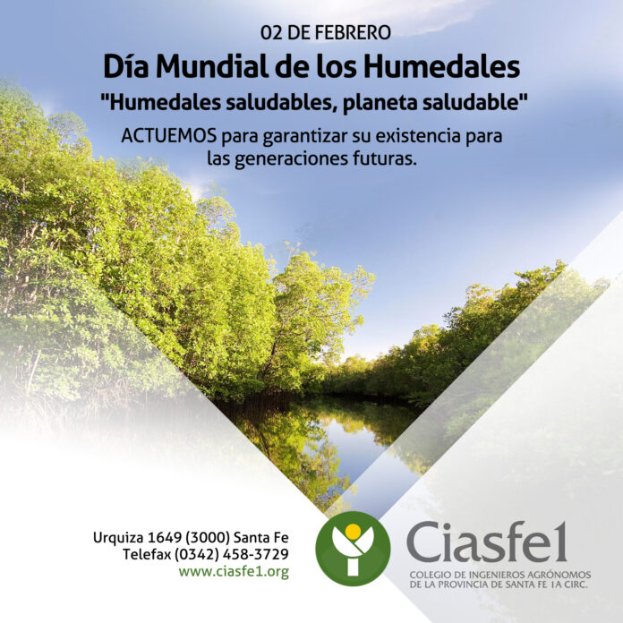 Humedales 2024 3