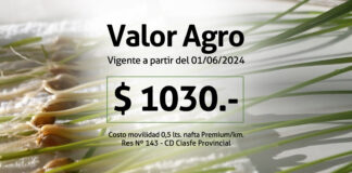 Nuevo Valor del AGRO y Valores Vigentes