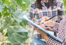 BÚSQUEDA INGENIERO AGRÓNOMO MATRICULADO.