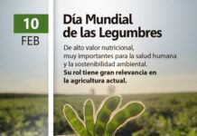 10/10 – Día Mundial de Las Legumbres