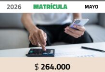 Pago Matrícula Profesional MAYO 2026