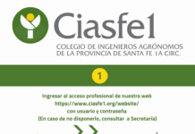 Instructivo para solicitar exención de Ingresos Brutos