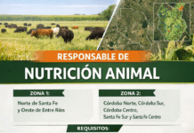 Buscamos Responsable de Nutrición Animal
