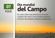07 Marzo – Día Mundial del Campo