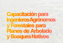 Capacitación para Ingenieros Agrónomos y Forestales para Planes de Arbolado y Bosques Nativos