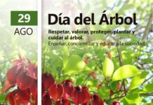 29 de agosto Dia del Arbol