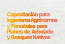 Capacitación para Ingenieros Agrónomos y Forestales para Planes de Arbolado y Bosques Nativos