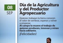 08 de septiembre | Día de la Agricultura y del Productor Agropecuario.