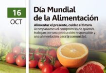 16 de octubre | DIA MUNDIAL DE LA ALIMENTACION